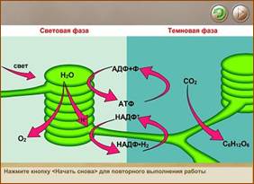 http://tana.ucoz.ru/_ld/9/80958.jpg